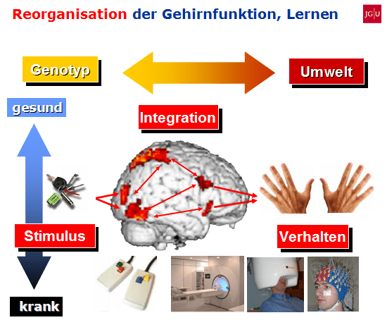 Dystonie Entstehung, Ursachen, Therapie